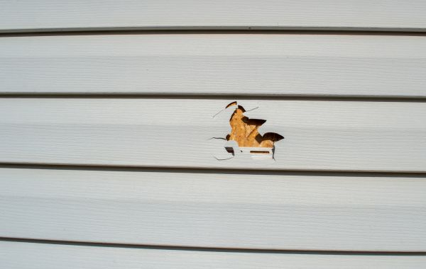 Cost of Siding Hole Repair in Haverhill